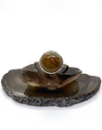 Picture Jasper Ring